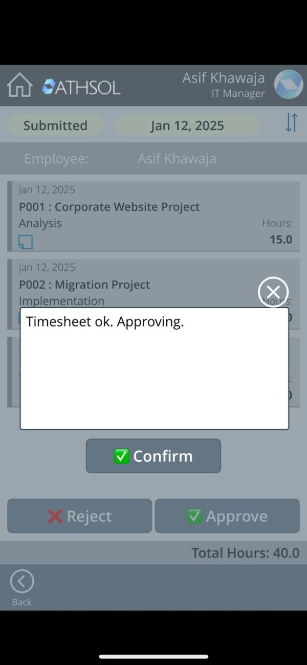 2-in-1 Bundle: Project Timesheets PowerApp + Mobile Add-on App - Image 13